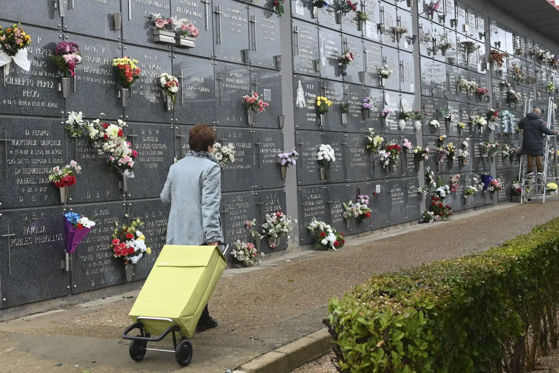 Vista del cementerio de León este sábado, día de Todos los Santos. Los españoles continúan la tradición de visitar a sus difuntos en los cementerios, limpiar sus lápidas y llevarles flores en estos días de Todos los Santos. Foto: ANDINA/ EFE