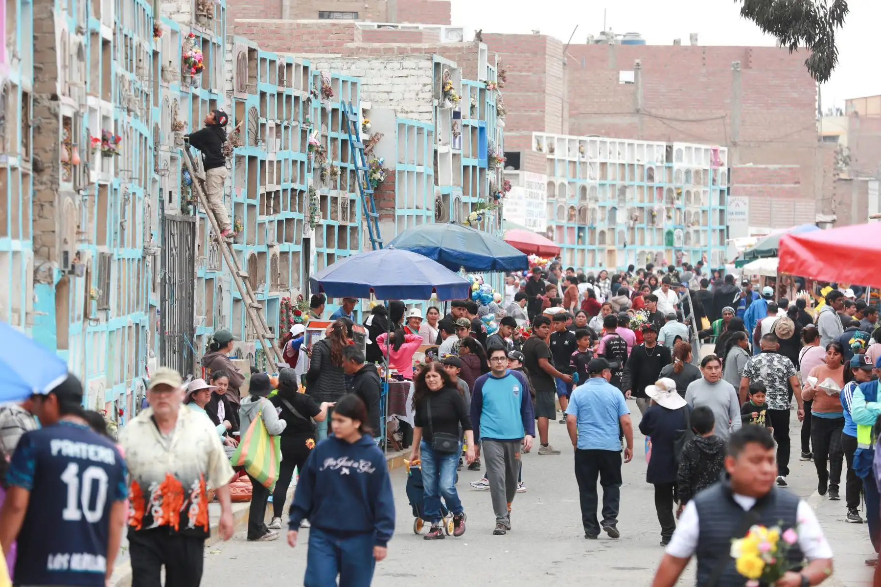 En el cementerio Santa Rosa, ubicado en el cerro La Regla, en el Callao, cientos de personas acudieron este Día de Todos los Santos para visitar a sus difuntos. Con flores, velas y música, las familias recordaron a sus seres queridos en un ambiente de fe y tradición, llenando el camposanto de colores y emociones en una jornada dedicada al recuerdo y la unión.
Foto : ANDINA / Lino Chipana Obregón.