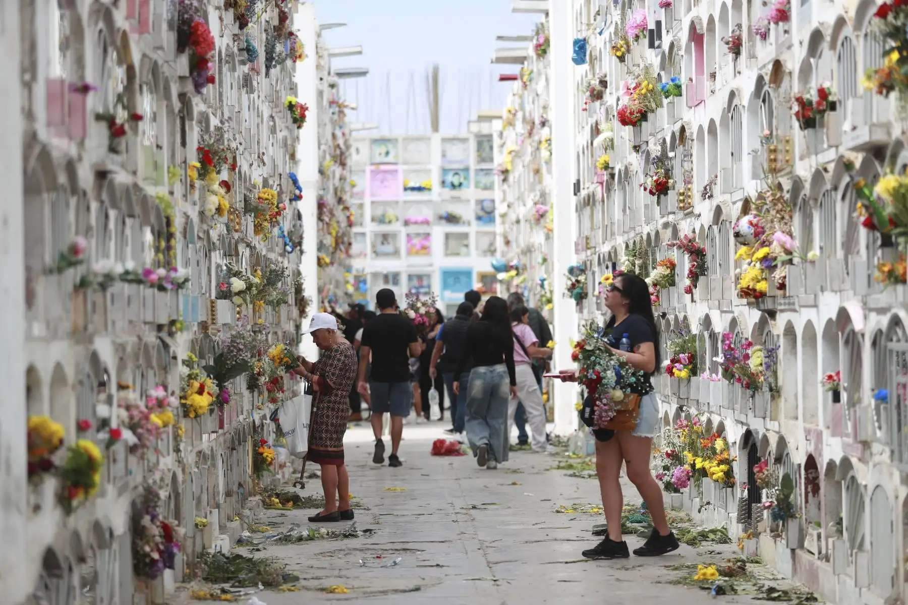 El Campo Santo Baquíjano, en el Callao, se llenó de visitantes que acudieron a recordar a sus seres queridos en el Día de Todos los Santos. Desde las primeras horas del día, familias enteras llegaron con flores y ofrendas para adornar las tumbas, compartiendo momentos de reflexión y encuentro en medio de una jornada marcada por la memoria y la tradición. Foto : ANDINA / Lino Chipana Obregón