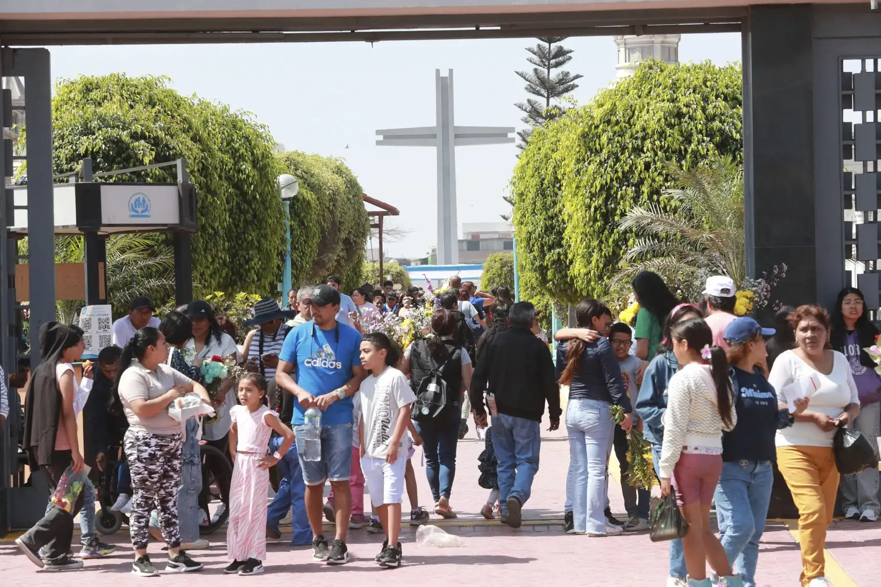El Campo Santo Baquíjano, en el Callao, se llenó de visitantes que acudieron a recordar a sus seres queridos en el Día de Todos los Santos. Desde las primeras horas del día, familias enteras llegaron con flores y ofrendas para adornar las tumbas, compartiendo momentos de reflexión y encuentro en medio de una jornada marcada por la memoria y la tradición. Foto : ANDINA / Lino Chipana Obregón