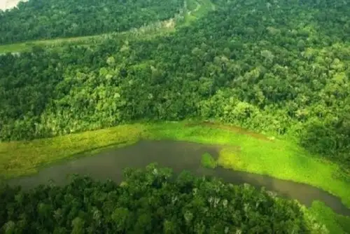 Inventario Nacional del Patrimonio Natural es la principal fuente de información sobre nuestras riquezas y reúne datos estratégicos sobre los ecosistemas, recursos naturales, y especies de flora y fauna.