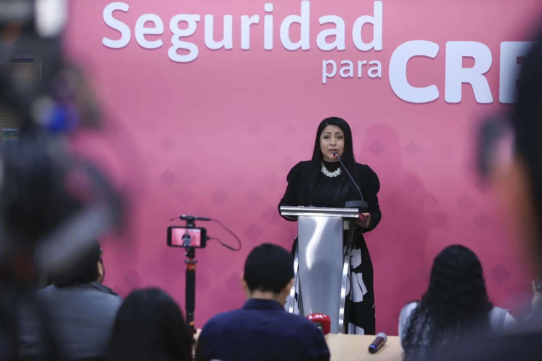 La ministra de Economía, Denisse Miralles, anuncia medidas para optimizar el gasto y fortalecer la estabilidad fiscal. Foto: ANDINA/Jhonel Rodríguez Robles