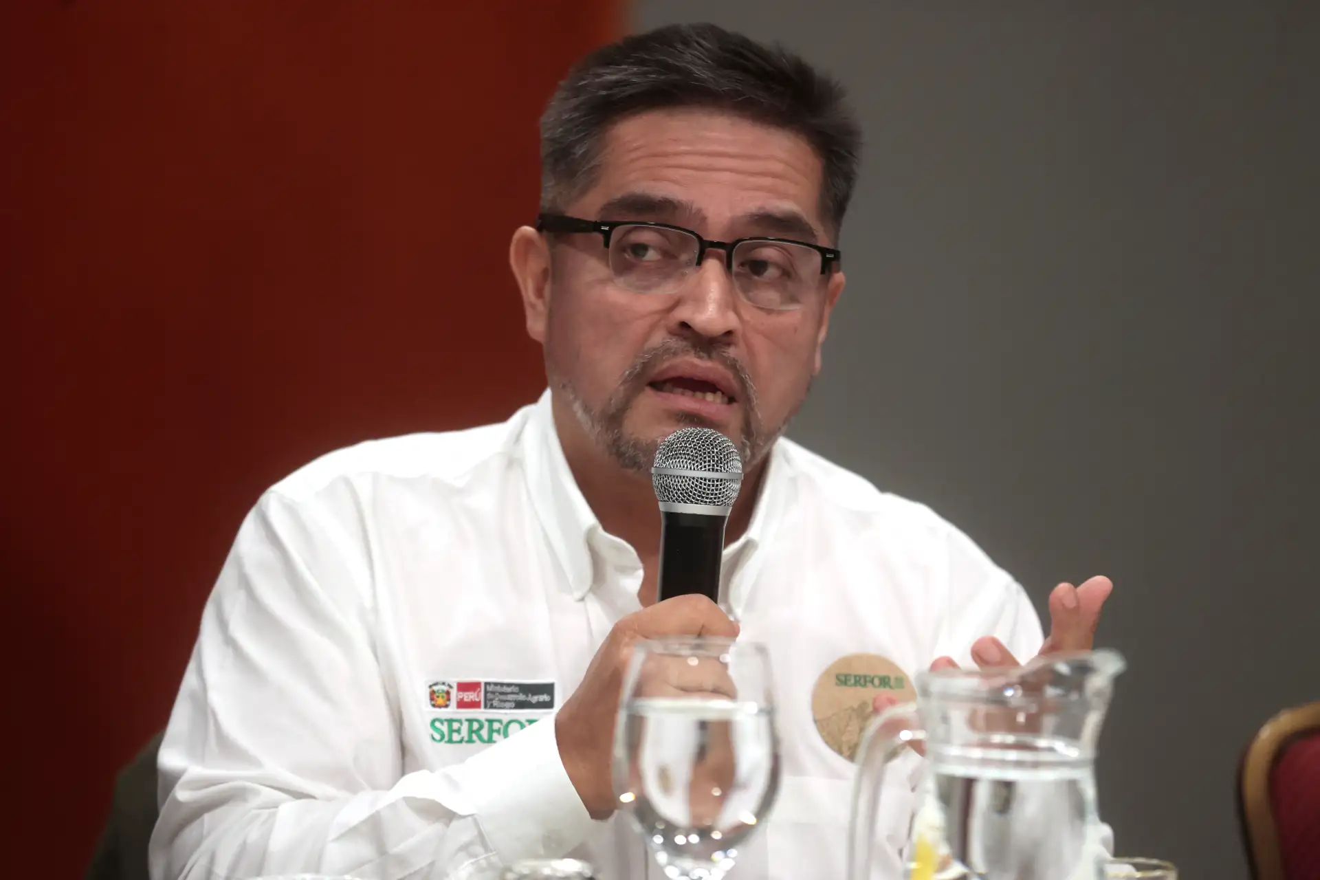 Sector forestal puede constituirse en un motor de crecimiento de la economía