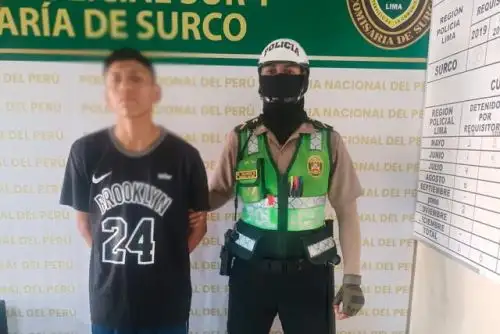 Toda agresión a un efectivo en ejercicio de sus funciones constituye un atentado contra la autoridad del Estado. Foto: ANDINA/Difusión