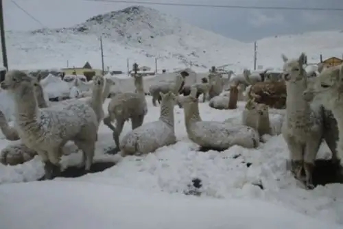 Este miércoles se registrarían acumulados entre 12 a 22 mm/día en la sierra norte y valores entre 10 a 15 mm/día en la sierra centro.