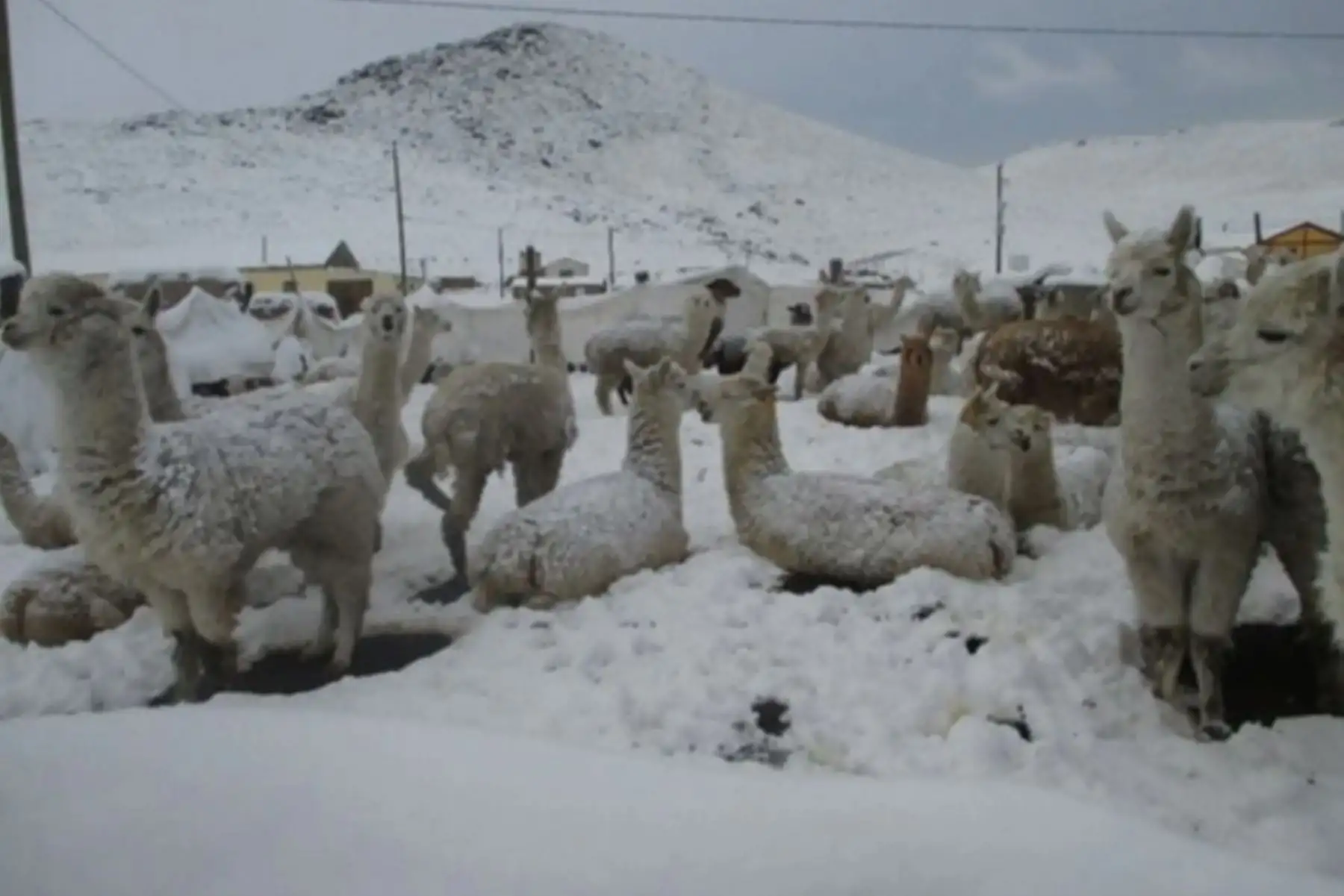 El Indeci recomienda verificar la disponibilidad de los centros de salud, compañías de bomberos y comisarías en la jurisdicción en caso de presentarse una emergencia.ANDINA/Difusión