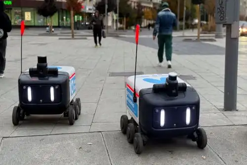 Robots repartidores en Rusia