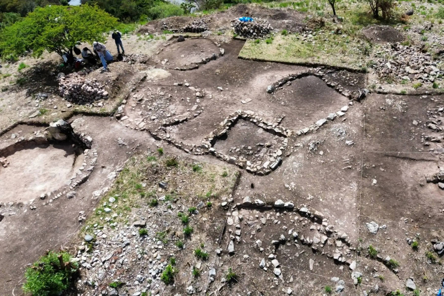 A diferencia de otros asentamientos Wari situados en valles y zonas planas, Muyu Urqu se ubica en una elevación con pendiente pronunciada, lo que refuerza su valor estratégico. Desde la cima, se domina el paso del río Pampas y las rutas naturales hacia la sierra y la ceja de selva. Foto: Edison Mendoza