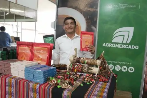 Ficafé 2025, que se desarrolla en Amazonas, reúne a 314 organizaciones cafetaleras de 16 regiones del país. Foto: Midagri