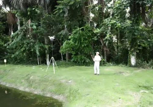 Con ayuda de drones y tecnología, científicos del IIAP elaboran mapas precisos para proteger las palmeras nativas de la Amazonía peruana. ANDINA/Difusión