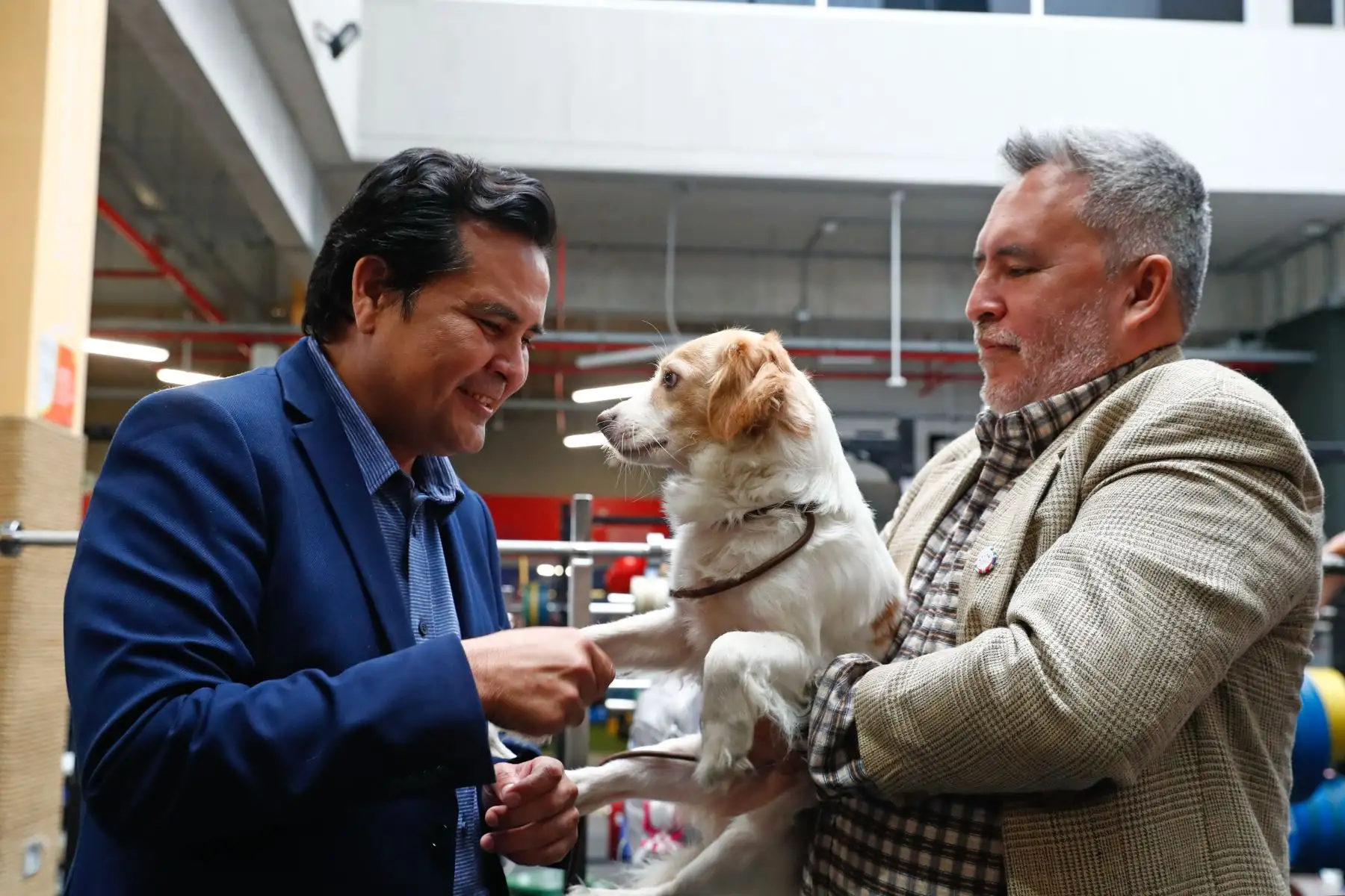 Federico Tong, presidente del Instituto Peruano del Deporte IPD, participó en la presentación oficial del perro pastor Chiribaya como la mascota de los XX Juegos Bolivarianos Ayacucho - Lima 2025, evento que se realizó en la Villa Deportiva Nacional VIDENA de San Luis. Foto: ANDINA/Daniel Bracamonte