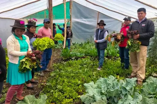 Beneficiarios del proyecto Haku Wiñay/Noa Jayatai  de Huánuco. Foto: ANDINA/Difusión