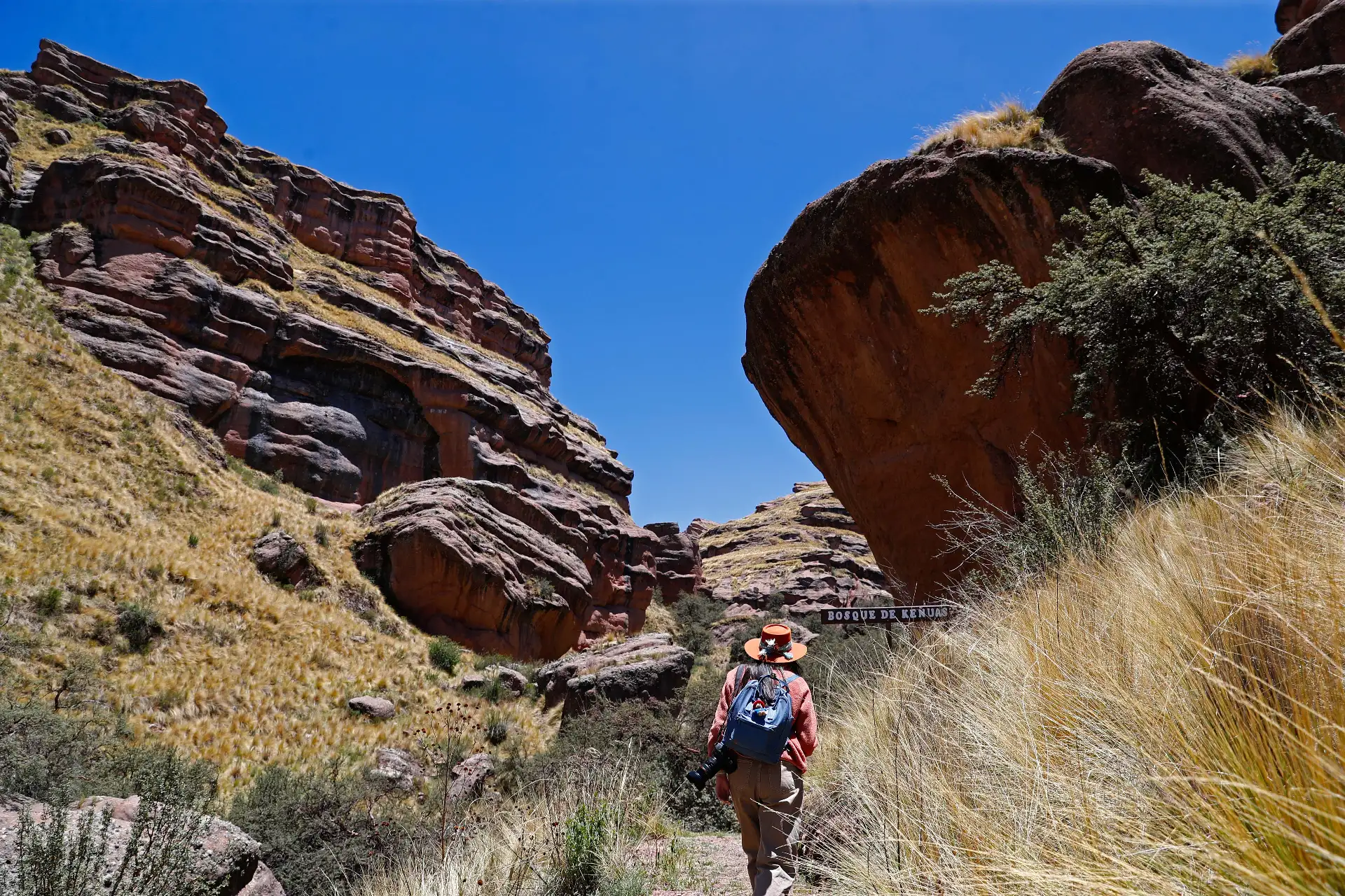 El Cañón de Tinajani, en Puno, que destaca por su impresionante belleza pétrea con formaciones rocosas rojizas, un cielo azul intenso y rodeado del valle altiplánico, se convierte en un nuevo atractivo que estará de moda el 2026 al figurar en la lista de los 10 mejores lugares para visitar en Centroamérica y Sudamérica en 2026. La lista fue elabora por Condé Nast Traveler, la revista internacional especializada en turismo de lujo. Foto: ANDINA/Daniel Bracamonte