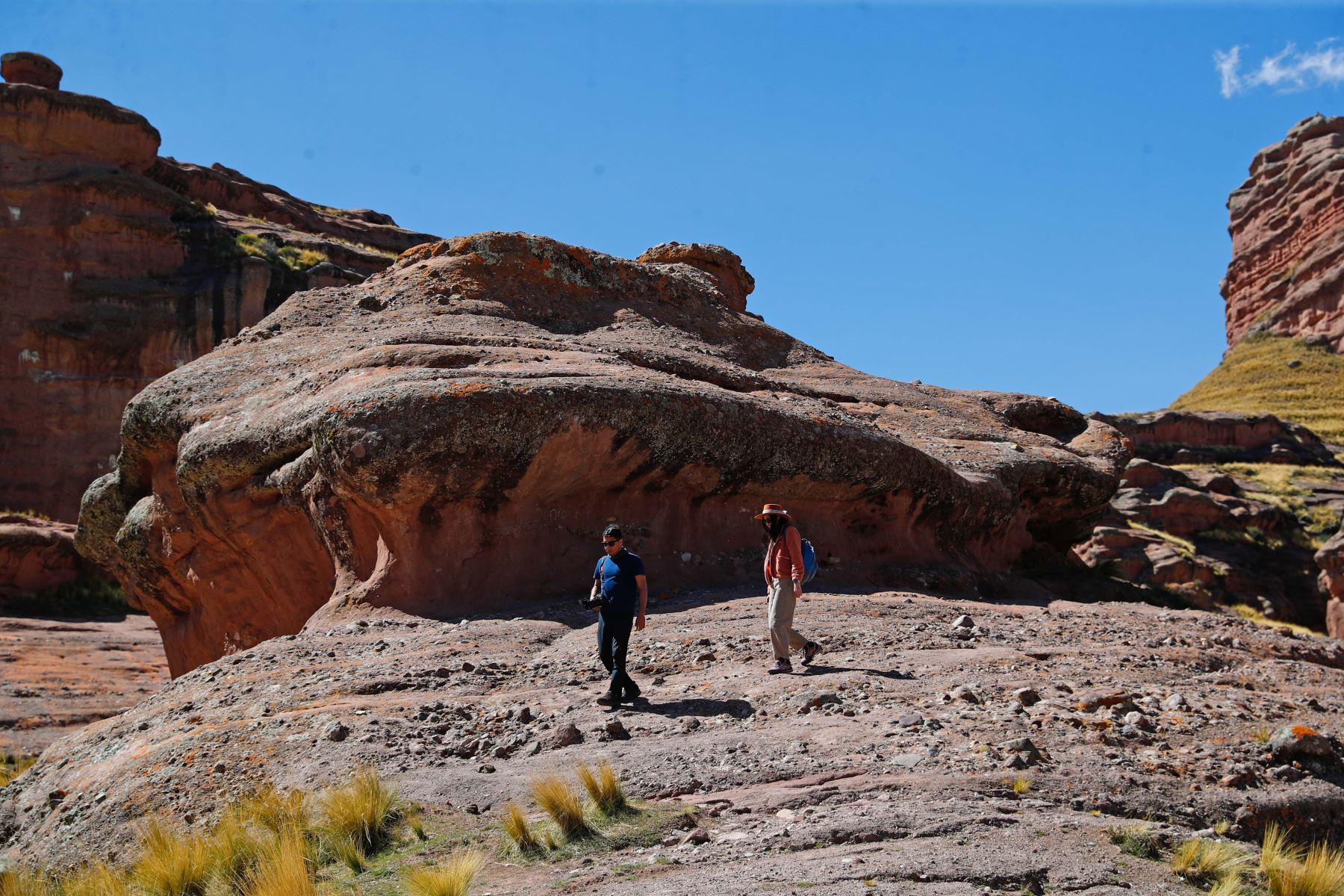El Cañón de Tinajani, en Puno, que destaca por su impresionante belleza pétrea con formaciones rocosas rojizas, un cielo azul intenso y rodeado del valle altiplánico, se convierte en un nuevo atractivo que estará de moda el 2026 al figurar en la lista de los 10 mejores lugares para visitar en Centroamérica y Sudamérica en 2026. La lista fue elabora por Condé Nast Traveler, la revista internacional especializada en turismo de lujo. Foto: ANDINA/Daniel Bracamonte