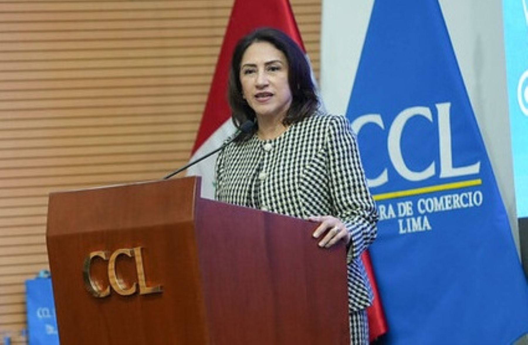 Zonas Económicas Especiales Privadas impulsarán al Perú como eje de desarrollo regional | Noticias | Agencia Peruana de Noticias Andina