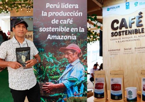 El Minam resaltó que once organizaciones de productores de café libre de deforestación generaron oportunidades de negocio por más de S/ 20 millones en la feria Ficafé 2025 Amazonas, celebrado en Chachapoyas.