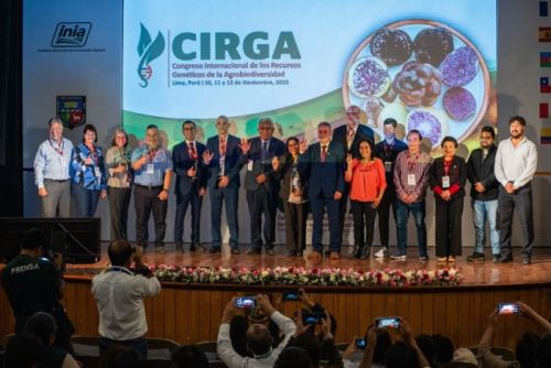 Avances se presentaron en el Congreso Internacional de los Recursos Genéticos de la Agrobiodiversidad (CIRGA), que organizó el INIA del Midagri.