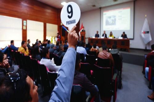 Anuncian subasta nacional de inmuebles y vehículos. Foto: ANDINA/Difusión