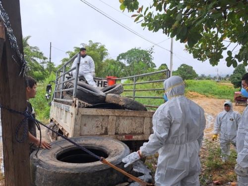 Brigadistas de salud de la región San Martín intervienieron más de 16,000 viviendas en la provincia de Tocache para eliminar los criaderos del zancudo transmisor del dengue.