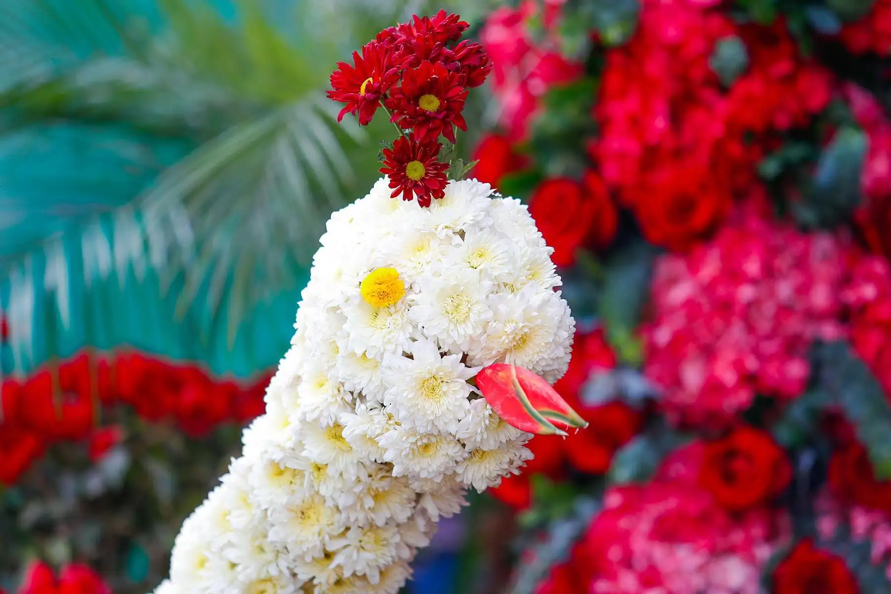 Venta masiva de flores y una gran variedad de arreglos, algunos de ellos muy originales, se observan en el mercado de flores ubicado en la Vía de Evitamiento, entre el Cercado de Lima y el Rímac, en el marco de las celebraciones por el Día Nacional de las Flores, este viernes 14 de noviembre de 2025. Foto: ANDINA/Daniel Bracamonte.