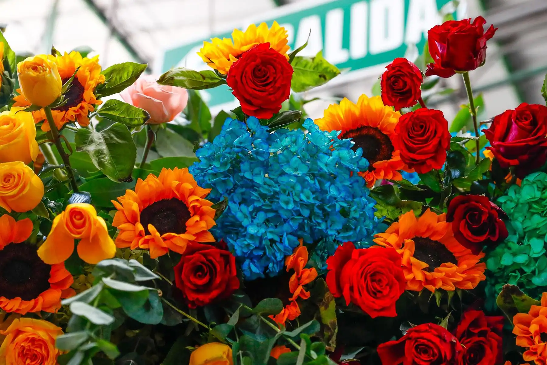 Venta masiva de flores y una gran variedad de arreglos, algunos de ellos muy originales, se observan en el mercado de flores ubicado en la Vía de Evitamiento, entre el Cercado de Lima y el Rímac, en el marco de las celebraciones por el Día Nacional de las Flores, este viernes 14 de noviembre de 2025. Foto: ANDINA/Daniel Bracamonte.