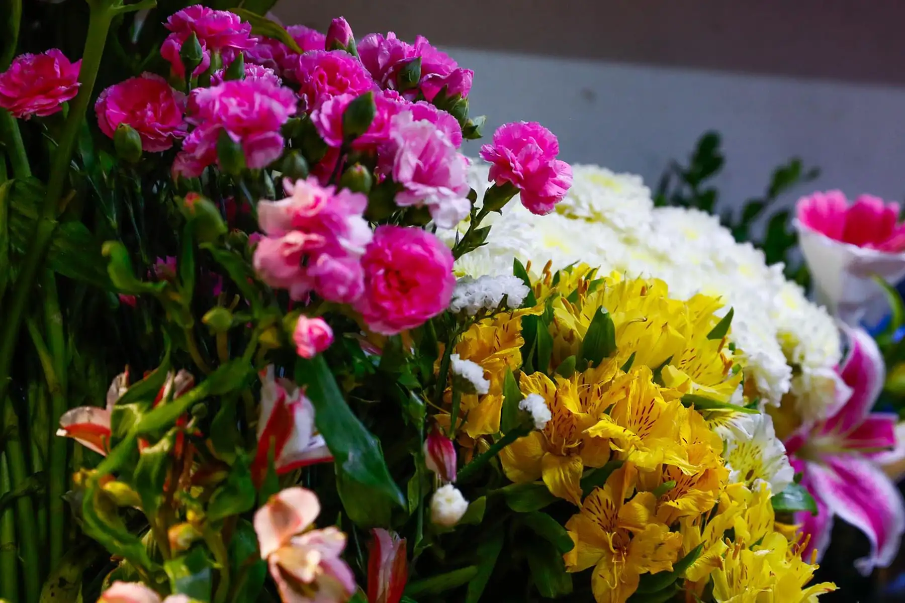 Venta masiva de flores y una gran variedad de arreglos, algunos de ellos muy originales, se observan en el mercado de flores ubicado en la Vía de Evitamiento, entre el Cercado de Lima y el Rímac, en el marco de las celebraciones por el Día Nacional de las Flores, este viernes 14 de noviembre de 2025. Foto: ANDINA/Daniel Bracamonte.