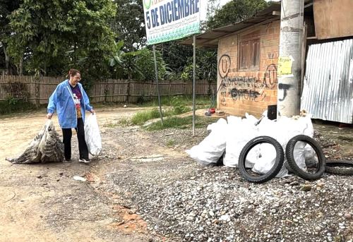 La Dirección Regional de Salud de San Martín y la Municipalidad de Moyobamba ejecutarán una campaña para la eliminación de criaderos del zancudo transmisor del dengue ante el incremento de las lluvias en la región. ANDINA/Difusión