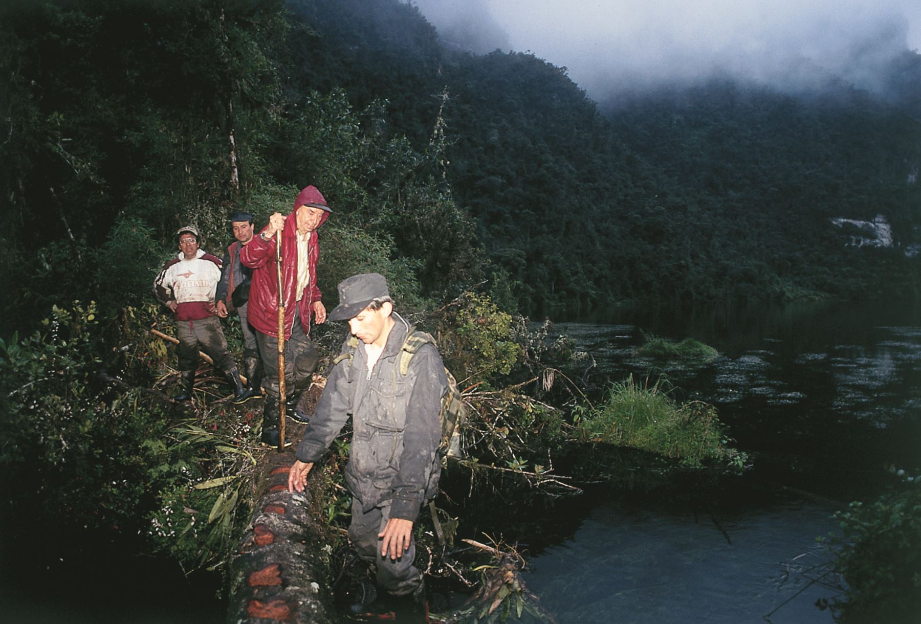 Ahora trabaja en un proyecto de otra obra que se titulará ‘Amazonía peruana’ y se publicará en el 2026, cuando tenga 98 años.  Foto: Archivo de Federico Kauffmann Doig