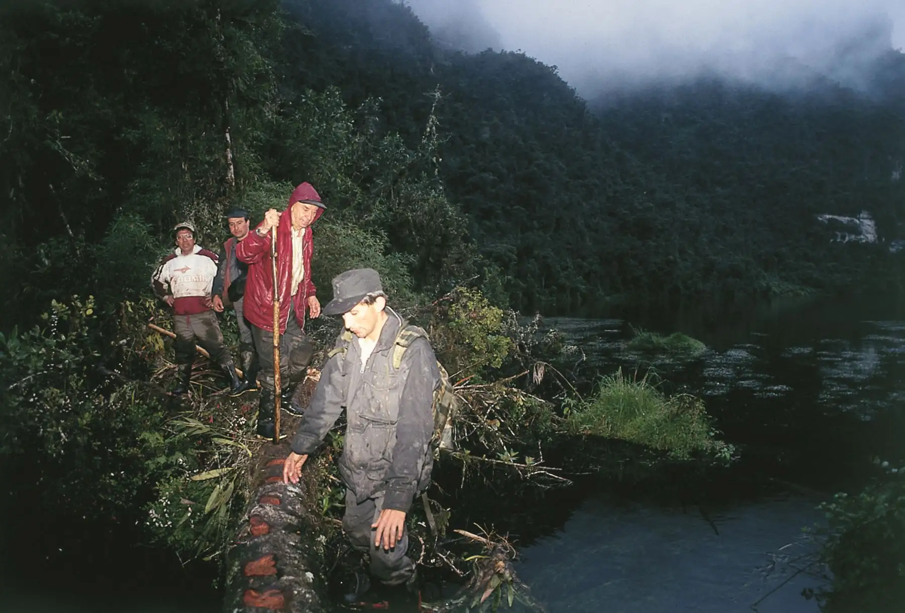 Ahora trabaja en un proyecto de otra obra que se titulará ‘Amazonía peruana’ y se publicará en el 2026, cuando tenga 98 años.  Foto: Archivo de Federico Kauffmann Doig