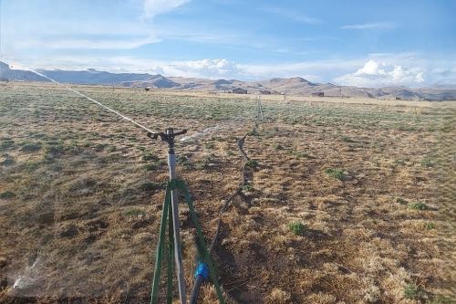 La tecnificación del riego promueve un uso más eficiente del agua, incrementa la productividad y fortalece la agricultura familiar. Foto: MIDAGRI/Difusión.