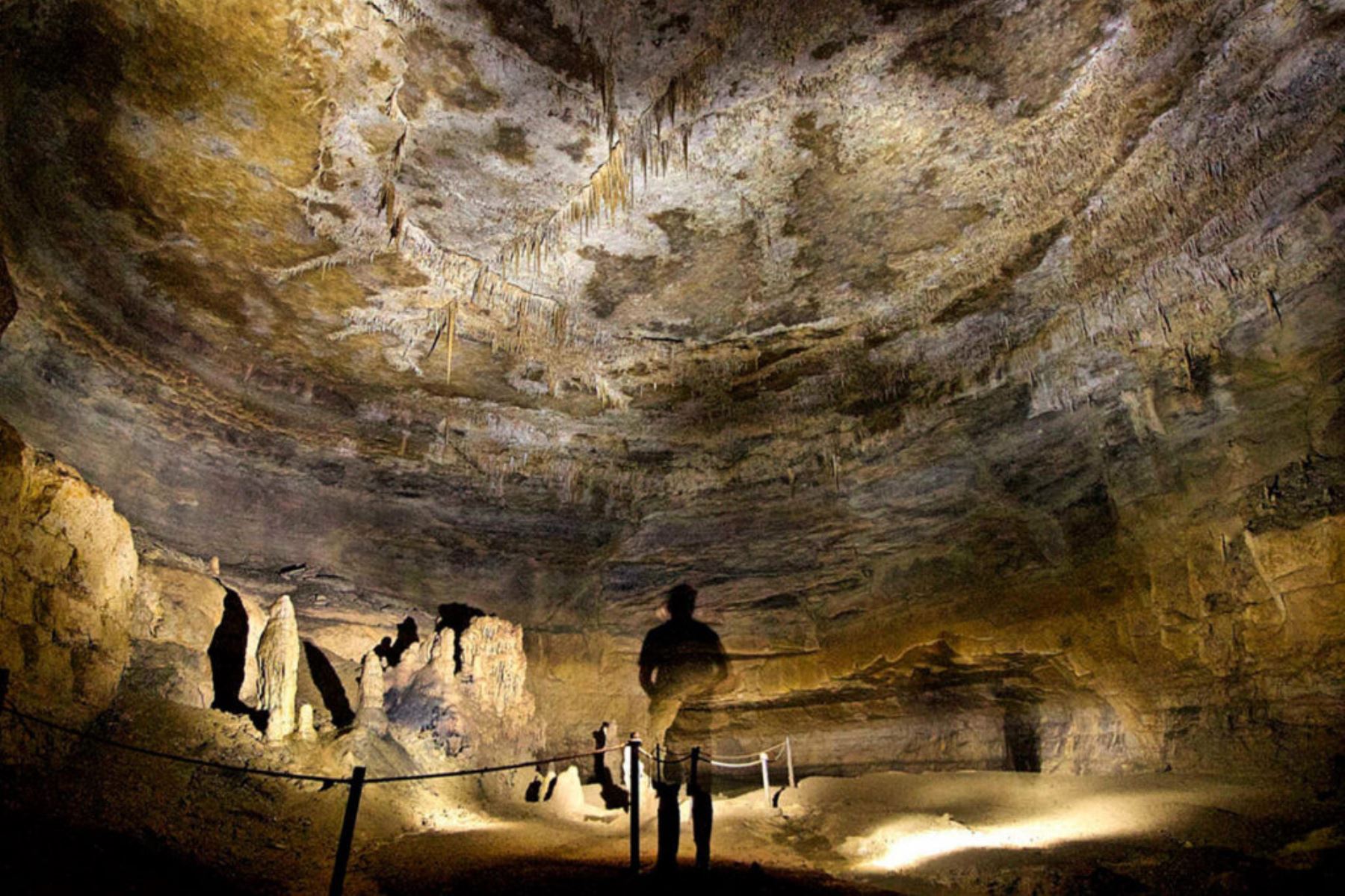 La caverna de Quiocta se ubica en la zona de Chumblate, en el distrito de Lamud, a unos 36 kilómetros al noroeste de la ciudad de Chachapoyas y a una altitud de 2,793 metros sobre el nivel del mar. Foto:Difusión