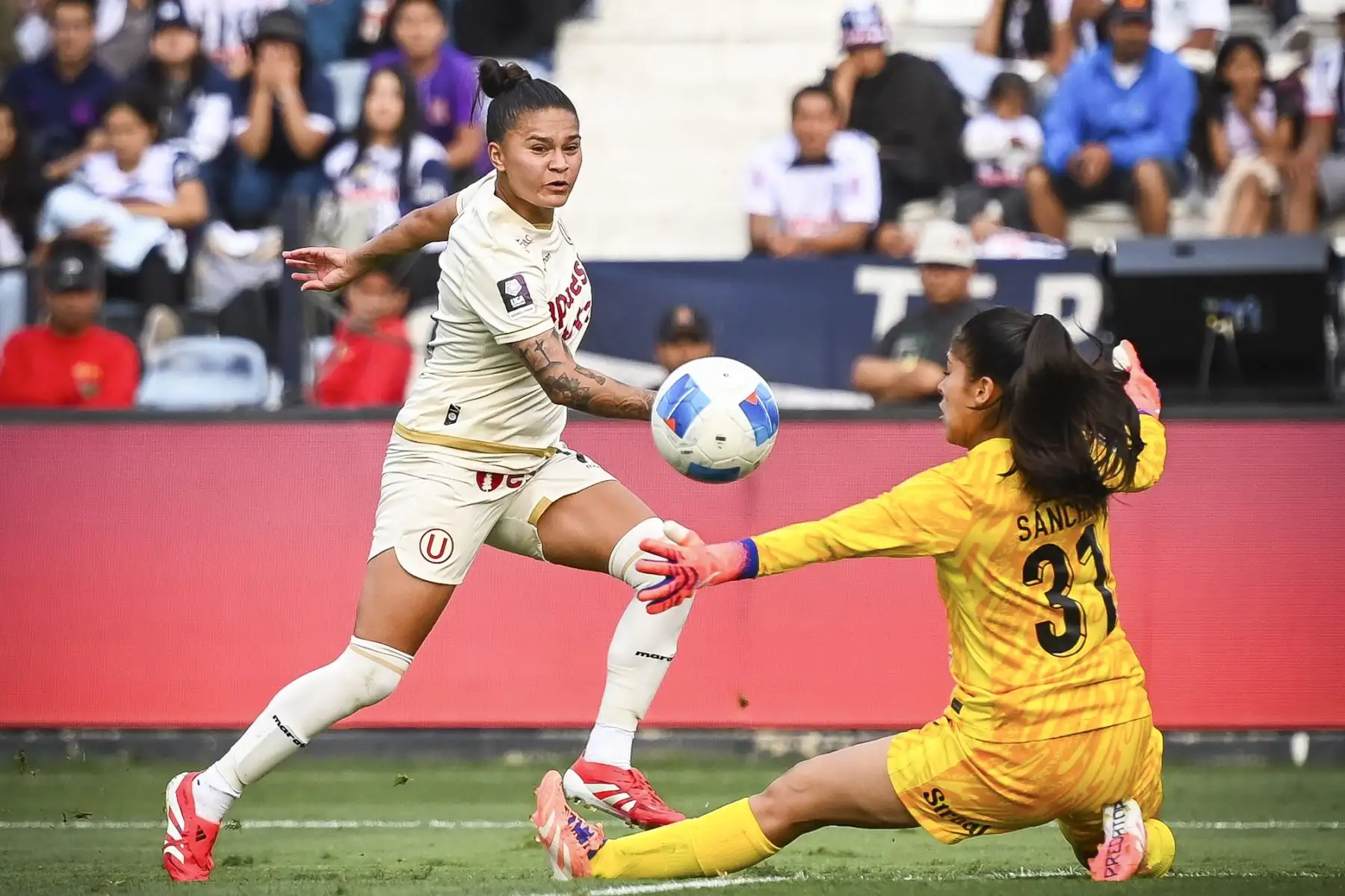 Universitario de Deportes se consagró ganador del Torneo Clausura de la Liga Femenina Apuesta Total tras empatar 1-1 en el tiempo reglamentario y vencer a Alianza Lima en una emocionante tanda de penales en el estadio Alejandro Villanueva. En un partido intenso y disputado, las cremas mantuvieron la calma en la definición y aseguraron el título en territorio íntimo. Foto: Universitario de Deportes