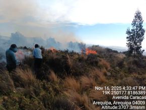 Un incendio forestales se registra en el distrito de Chiguata, en la provincia y región Arequipa, y no puede ser controlado por las brigadistas por lo que el COER pide el apoyo del Ejército del Perú. ANDINA/Difusión