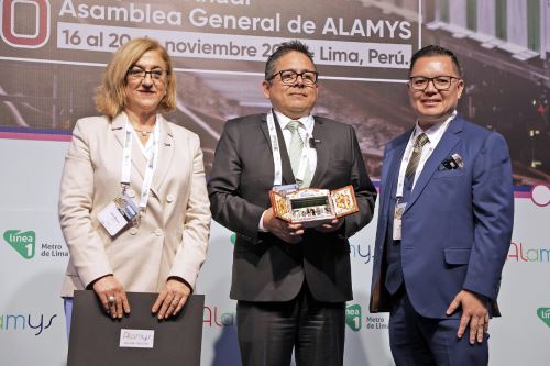 Proinversión asumirá estructuración del futuro tren de cercanías Lima–Chosica. Foto: Difusión