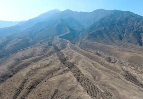 Un equipo internacional de arqueólogos resolvió un enigma de casi un siglo: la funcionalidad que tuvo los más de 5,200 hoyos, ubicados en el Monte Sierpe, y que fueron cavados en la época prehispánica. Foto: Cortesía  C. Stanish/Antiquity Publications