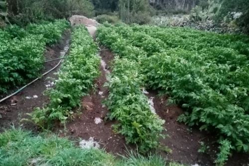 Reportes del Senamhi alertan sobre escasez de lluvias y días cálidos en la sierra. Foto: SENAMHI/Difusión.