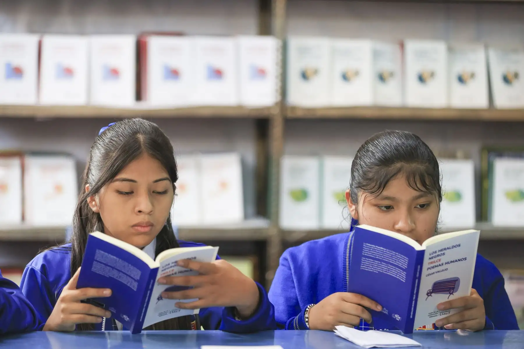 El Ministerio de Educación distribuirá gratuitamente la colección Populibros Caslit, que incluye 10 títulos de autores peruanos como César Vallejo, Mario Vargas Llosa, Ciro Alegría y José María Arguedas, como parte de su estrategia para promover la lectura en el país. Este año se entregarán 181,440 ejemplares a 404,177 estudiantes de 672 instituciones educativas. La entrega inició en la I.E. Óscar Miroquesada, donde se distribuyó un lote de 180 libros. Foto: ANDINA/Jhonel Rodríguez Robles