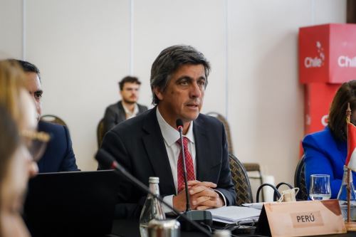Viceministro de Comercio Exterior del Perú, César Llona, en la Reunión Viceministerial de Países Latinoamericanos de la Organización Mundial de Comercio (OMC), en Chile. Foto: Cortesía.