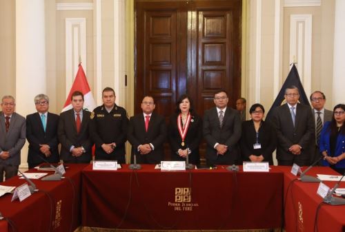 El ministro de Justicia y Derechos Humanos, Walter Martínez Laura, participó en la tercera reunión de trabajo del Consejo Nacional de Justicia especializado en Flagrancia Delictiva