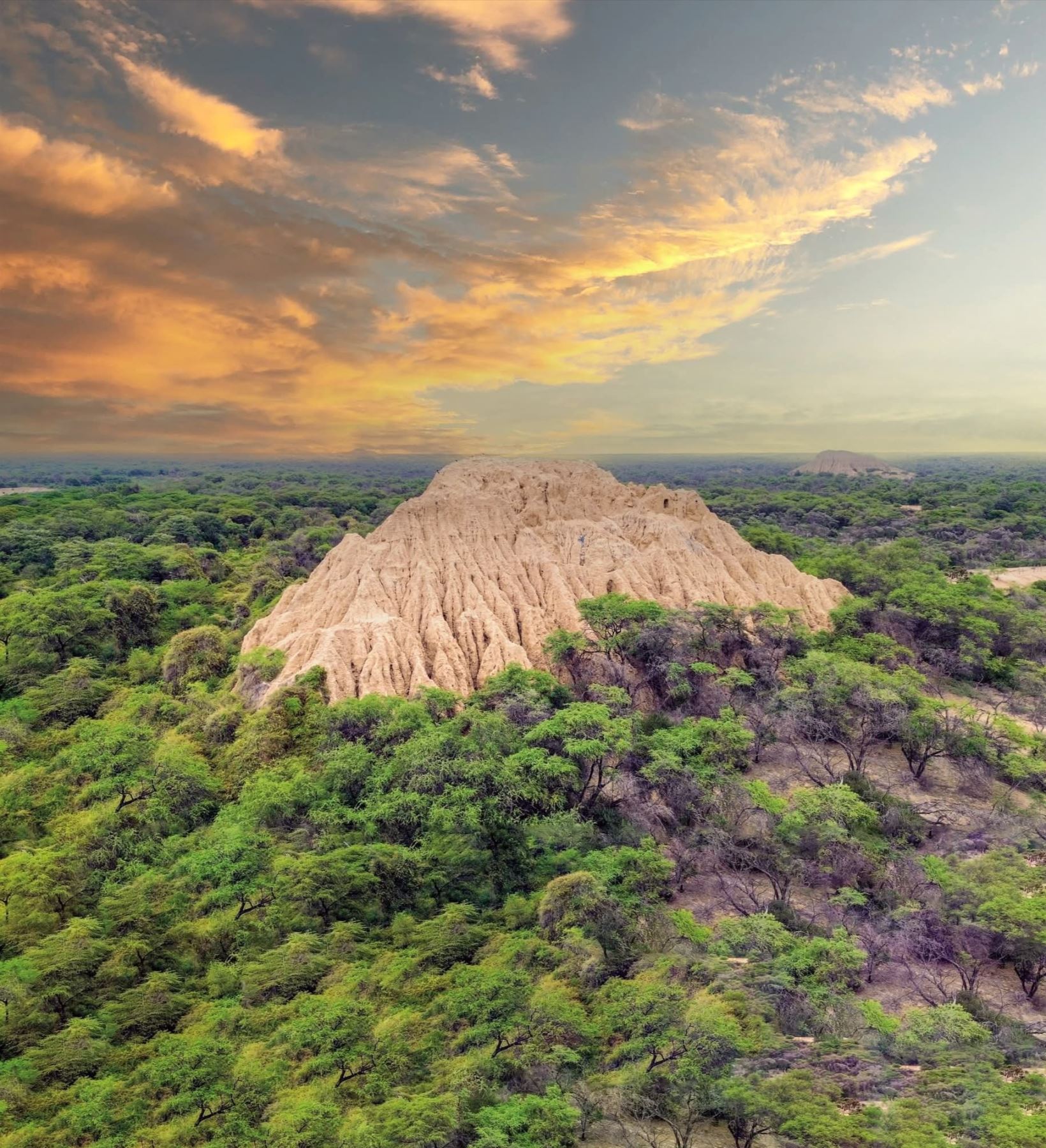 Santuario Histórico Bosque de Pómac recibirá notable inversión turística con apoyo japonés