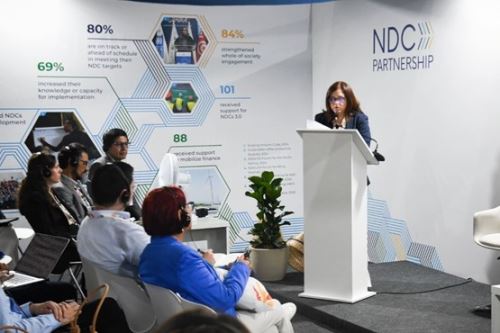 Viceministra de Desarrollo Estratégico de los Recursos Naturales del Ministerio del Ambiente, Romina Caminada. Foto: MINAM/Difusión.