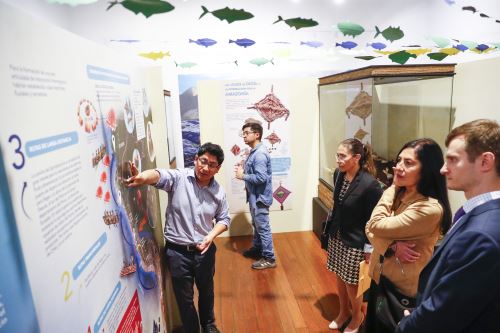 Exposición sobre la civilización Caral en el Callao revela su legado pesquero y alimentario