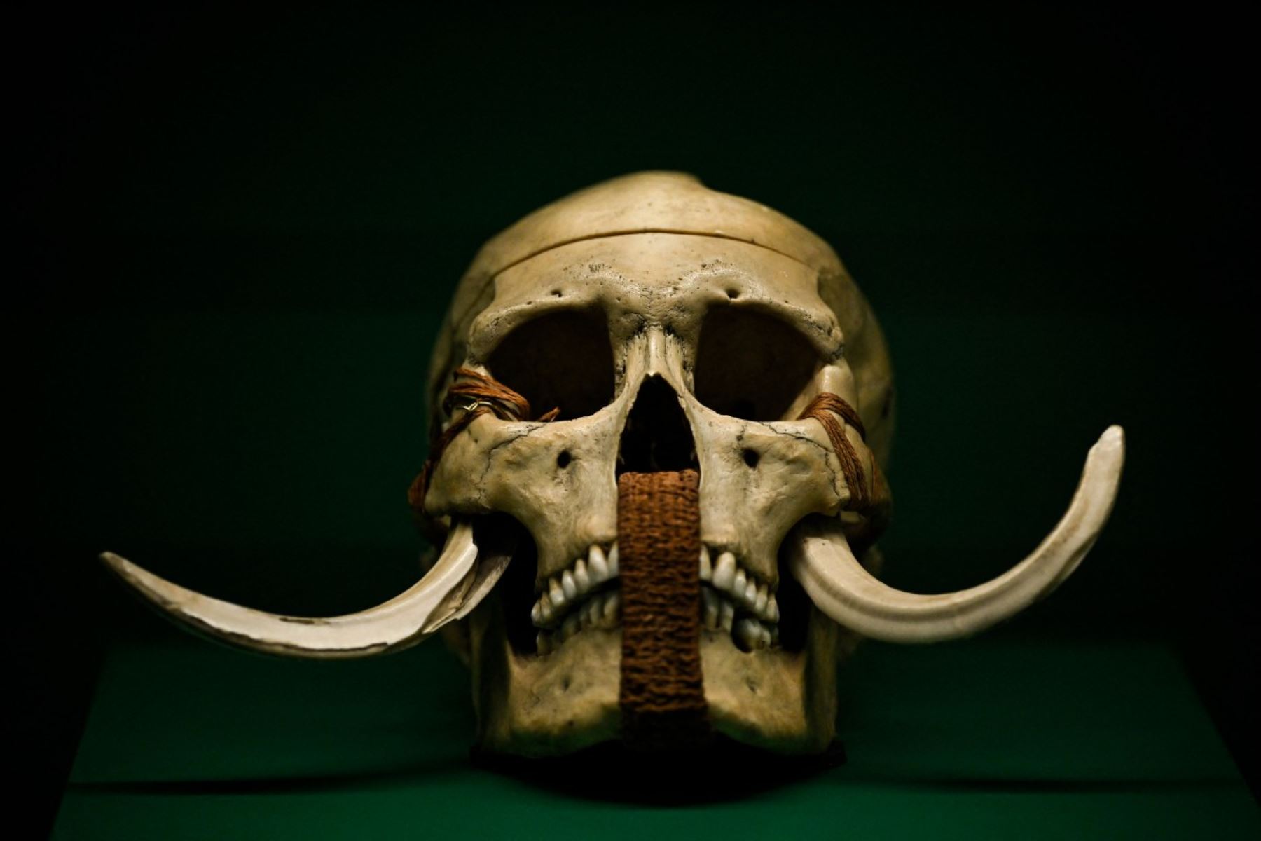 Una momia egipcia llamada 