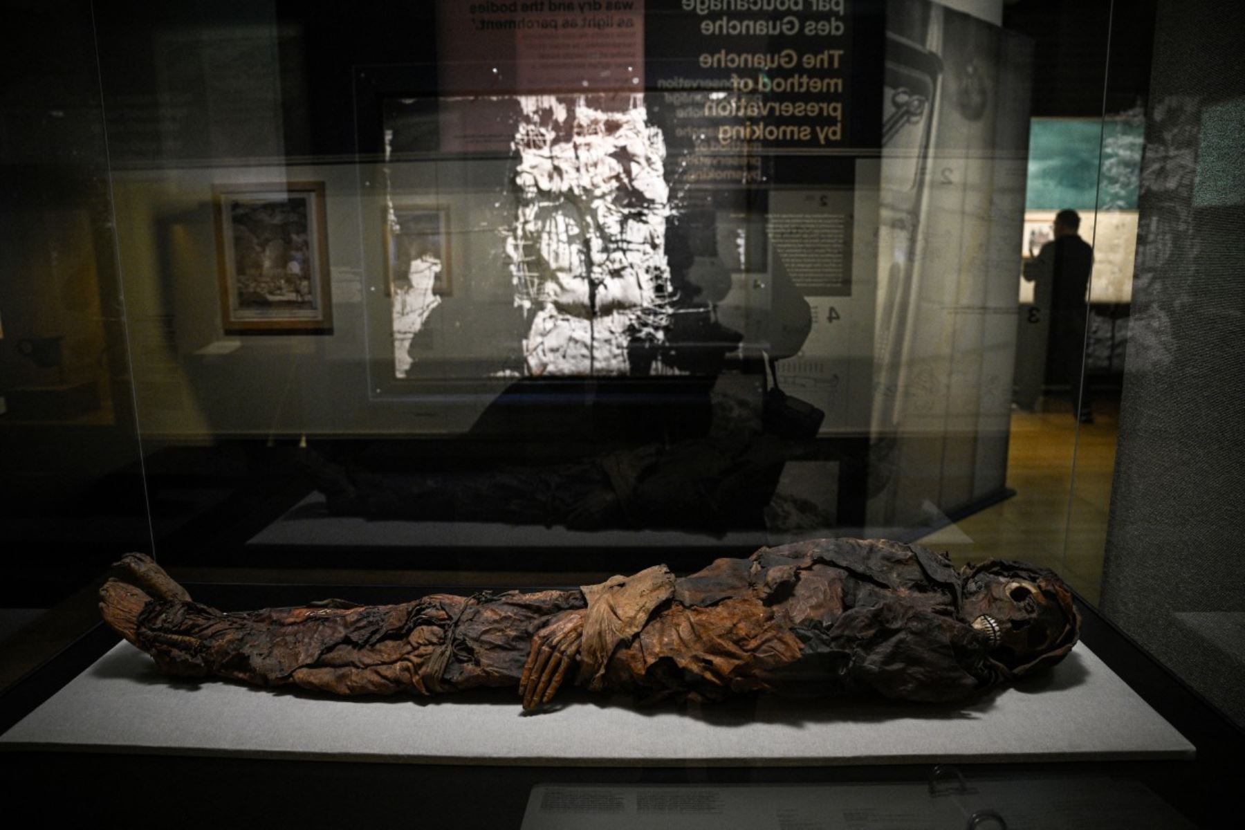 Una momia de las Islas Canarias llamada 