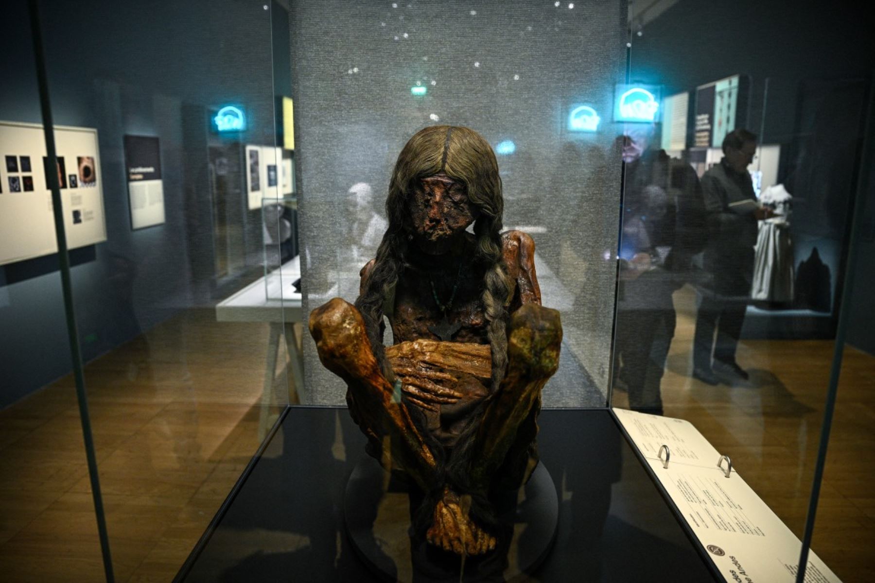 Una momia andina boliviana llamada "Joven de los Andes" se exhibe durante la visita de prensa a "Momias", una exposición en el Museo del Hombre de París. AFP