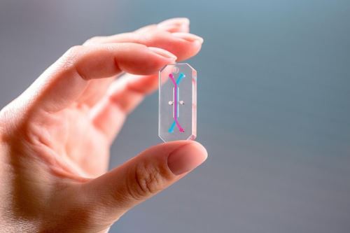 Durante la misión Artemis II, los chips de órganos estarán resguardados en una carga útil personalizada. Foto: NASA