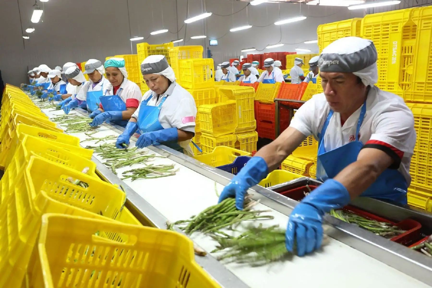 Trabajo, perseverancia y lucha: el mayor orgullo de los peruanos, según estudio [video]