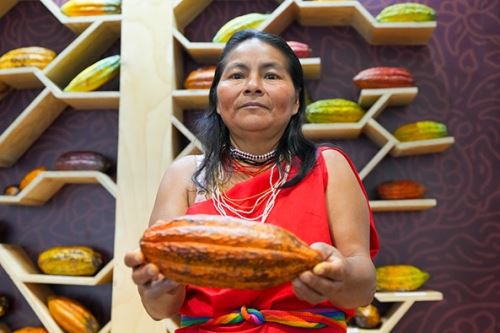 Productores indígenas explicaron la importancia del cacao nativo y las oportunidades económicas en torno a este cultivo. Foto: DEVIDA/Difusión.