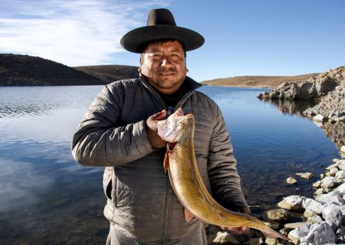 Tacna celebrará este sábado 29 de noviembre el Primer Festival de la Trucha que se desarrollará en la plaza José Abelardo Quiñones del distrito Alto de la Alianza. ANDINA/Difusión