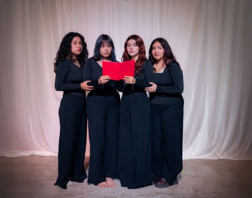 Todas somos ella sube a las tablas en Teatro Mocha Graña.